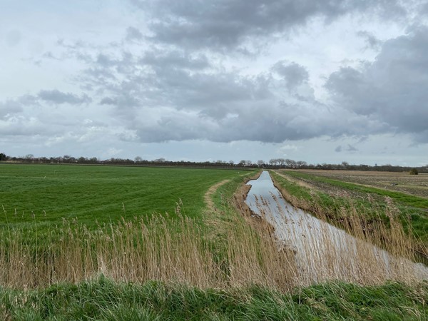 Medium property photo - Schotelweg, 4333 GS Middelburg